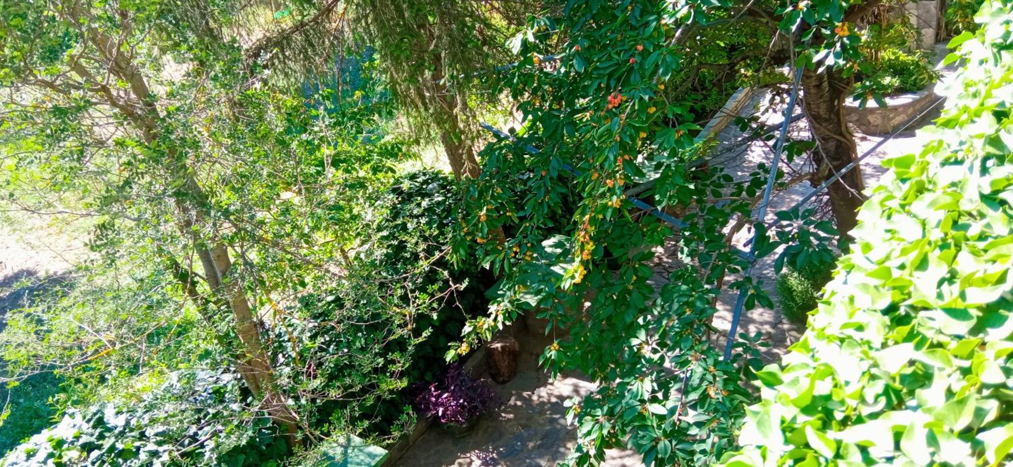Lassithi Plateau Traditional Suite Agios Georgios (Lasithi) Exterior foto